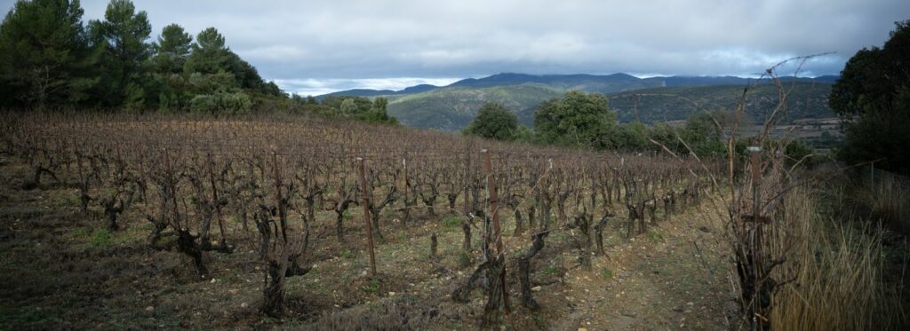 Économie locale et cœur de village economie